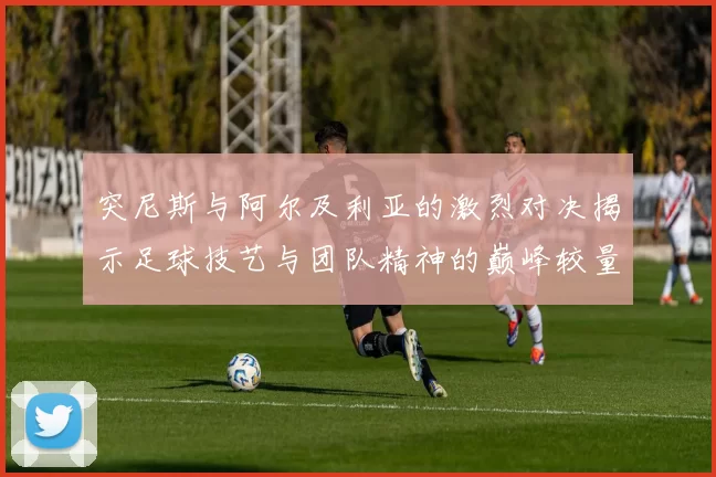 突尼斯与阿尔及利亚的激烈对决揭示足球技艺与团队精神的巅峰较量